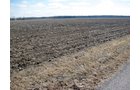 Property photo 25 - 127 Acres Offered in 4 Tracts